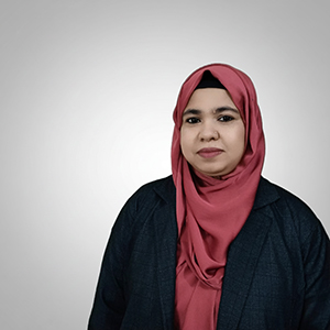 Softalnd Director Mem